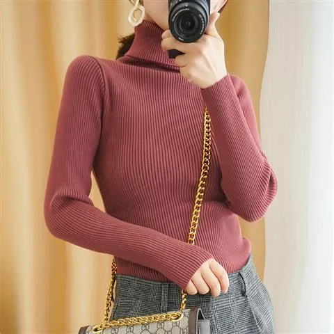 Joskaa Women's Sweaters Autumn Winter Turtleneck Long Sleeve Casual Knitted Jumper Fashion Slim Elasticity Pullover Sweater Female 2024