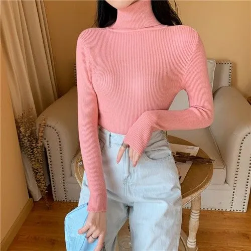 Joskaa Women's Sweaters Autumn Winter Turtleneck Long Sleeve Casual Knitted Jumper Fashion Slim Elasticity Pullover Sweater Female 2024