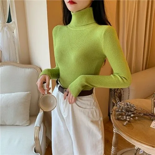 Joskaa Women's Sweaters Autumn Winter Turtleneck Long Sleeve Casual Knitted Jumper Fashion Slim Elasticity Pullover Sweater Female 2024