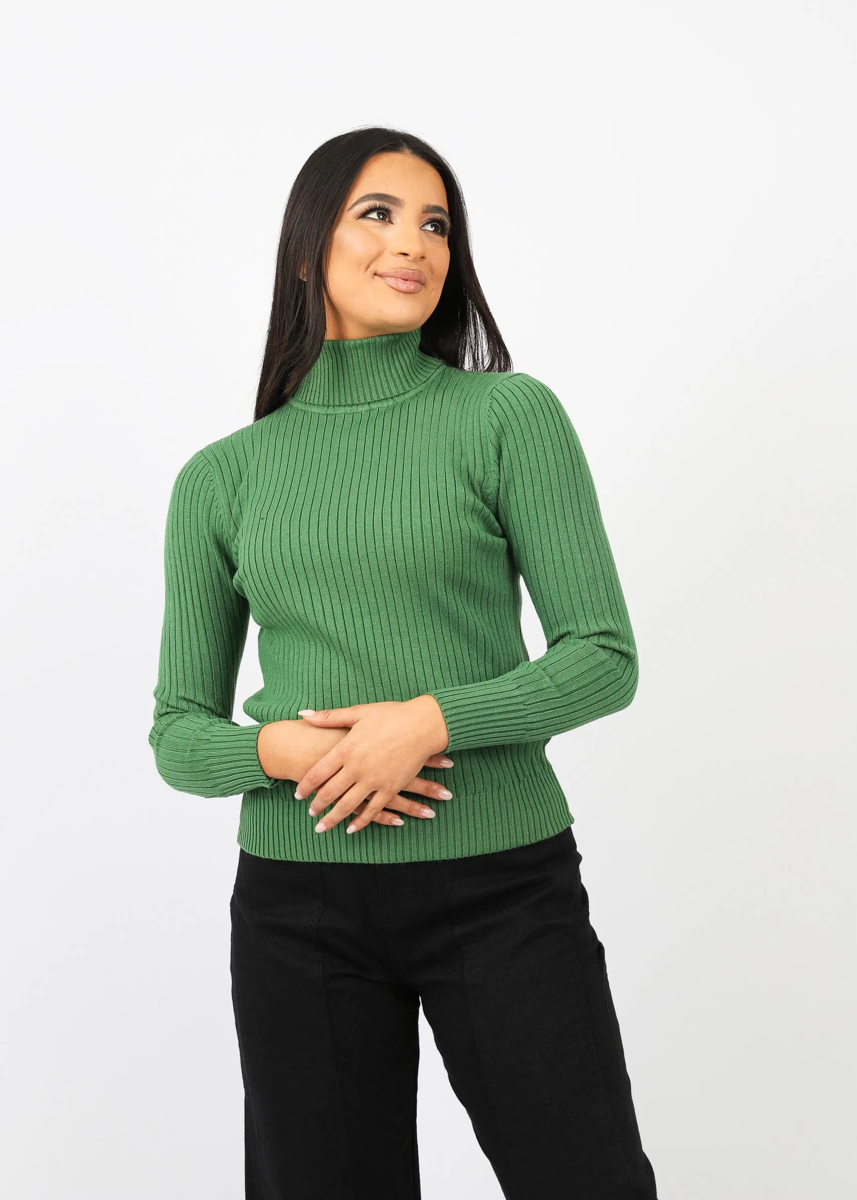 Simona Roll Neck Skivy