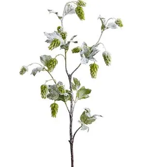 Snowy Hops Spray - 41"