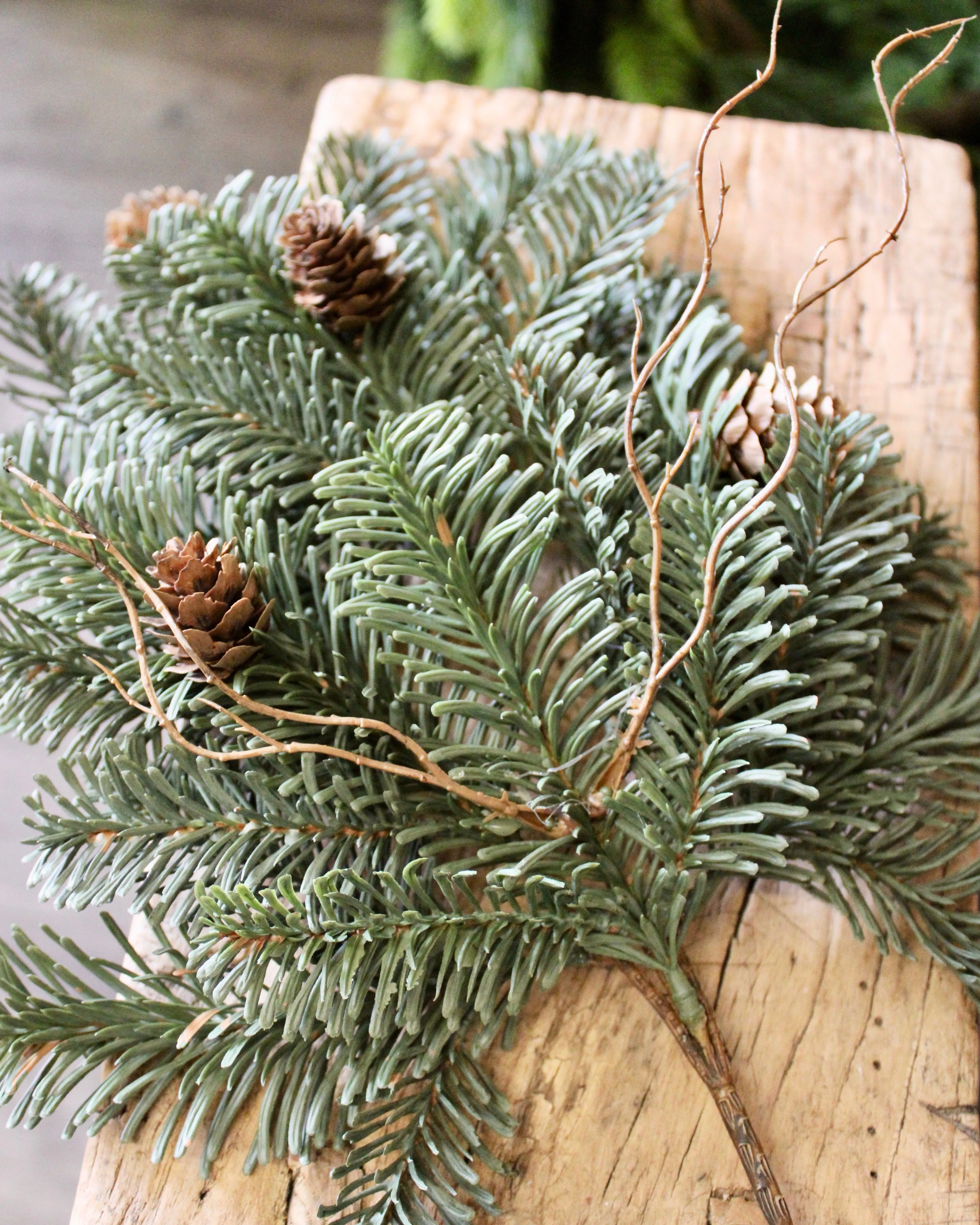 White Spruce Spray